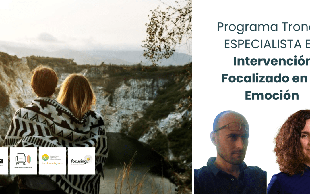 Sintonización Empática con el Afecto: apoyar el contacto con la experiencia emocional 2027