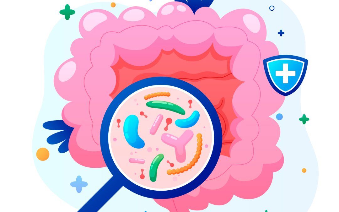 Microbiota y neurotransmisores: el lenguaje químico de tu segundo cerebro